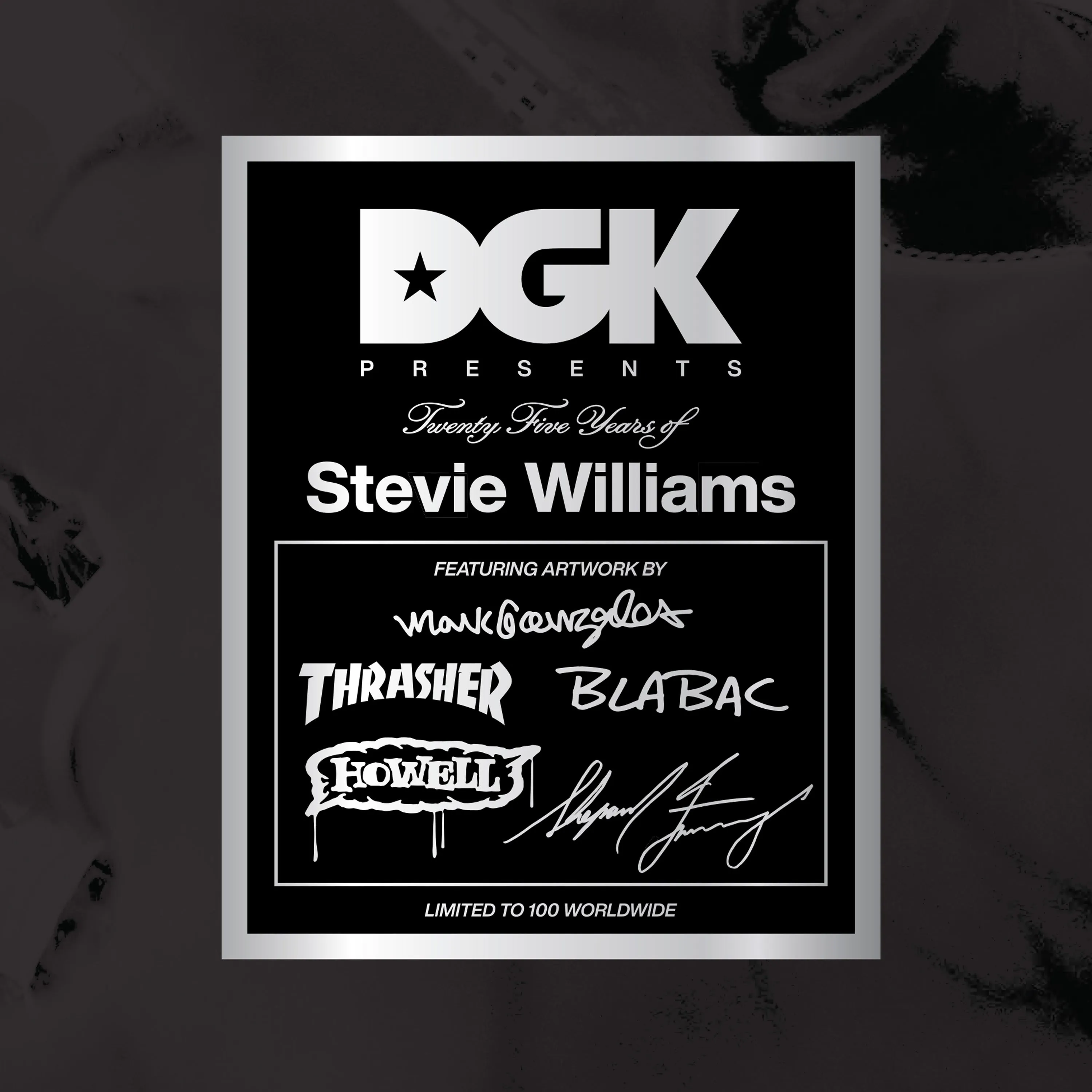 DGK 25 YEARS OF STEVIE WILLIAMS BLIND BAG