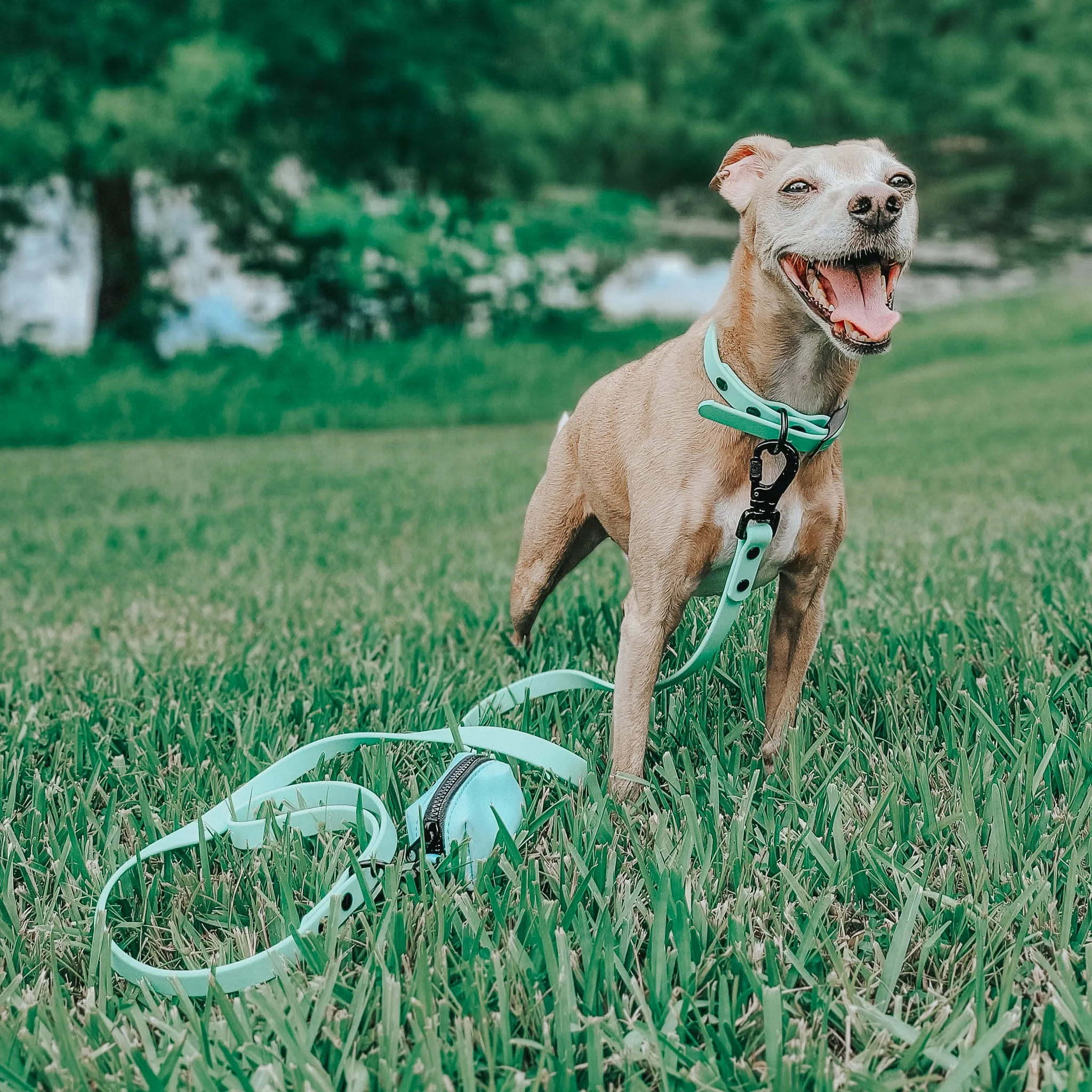 Dog Waterproof Collar - Green