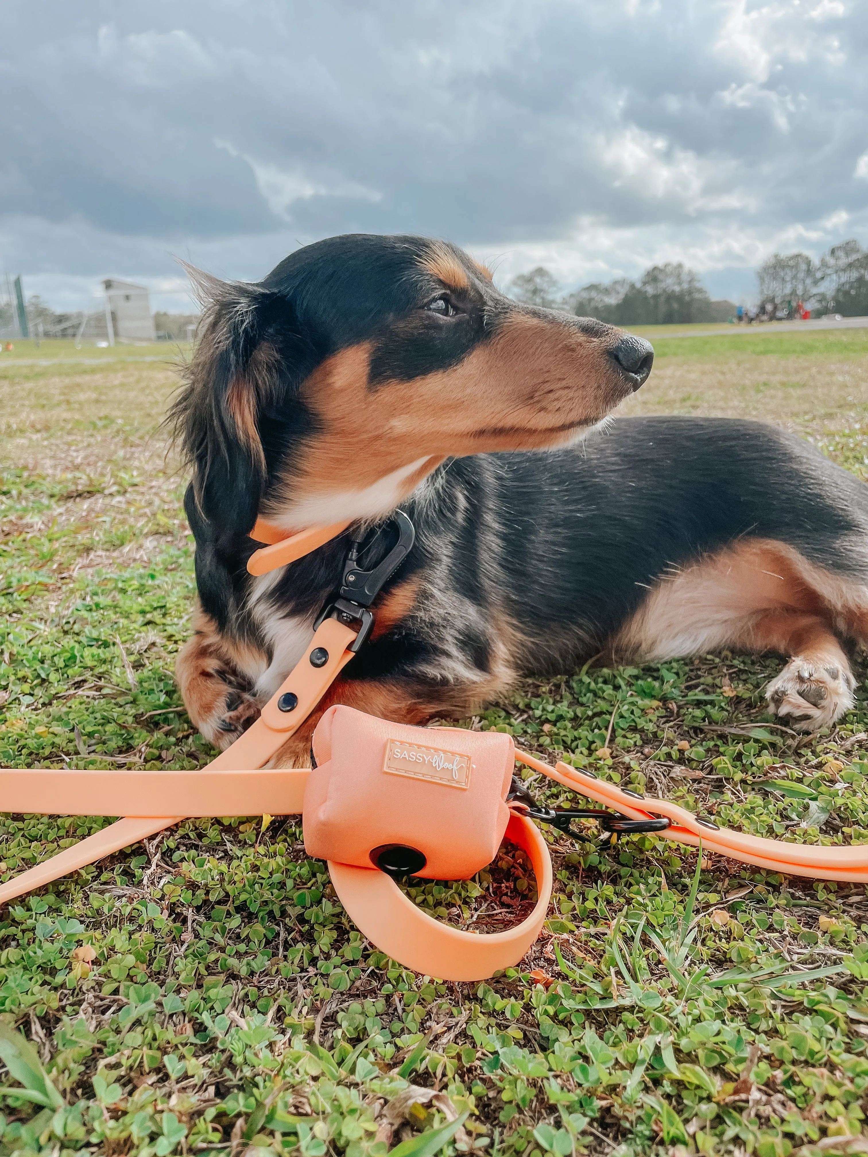 Dog Waterproof Collar - Orange