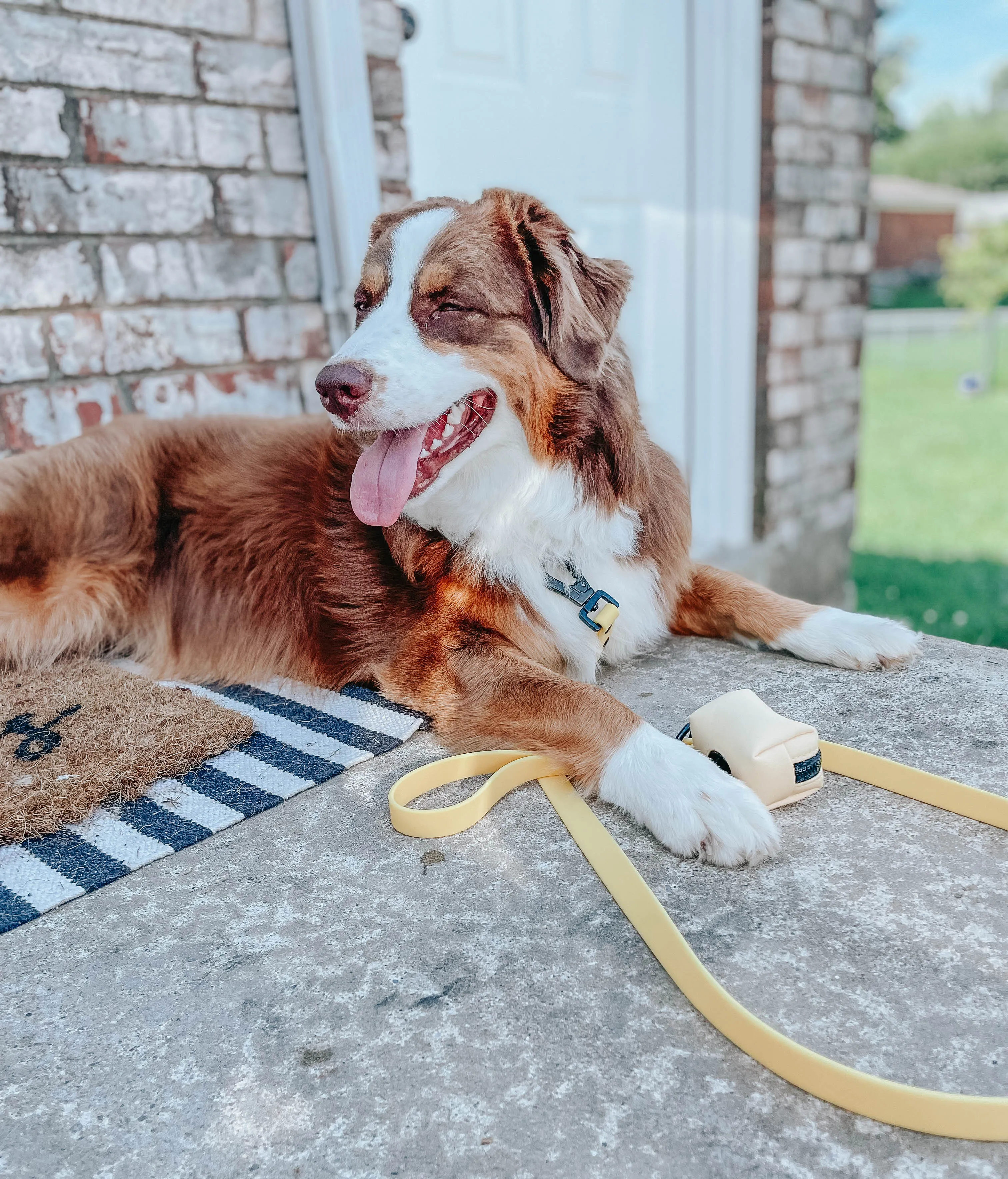 Dog Waterproof Collar - Yellow