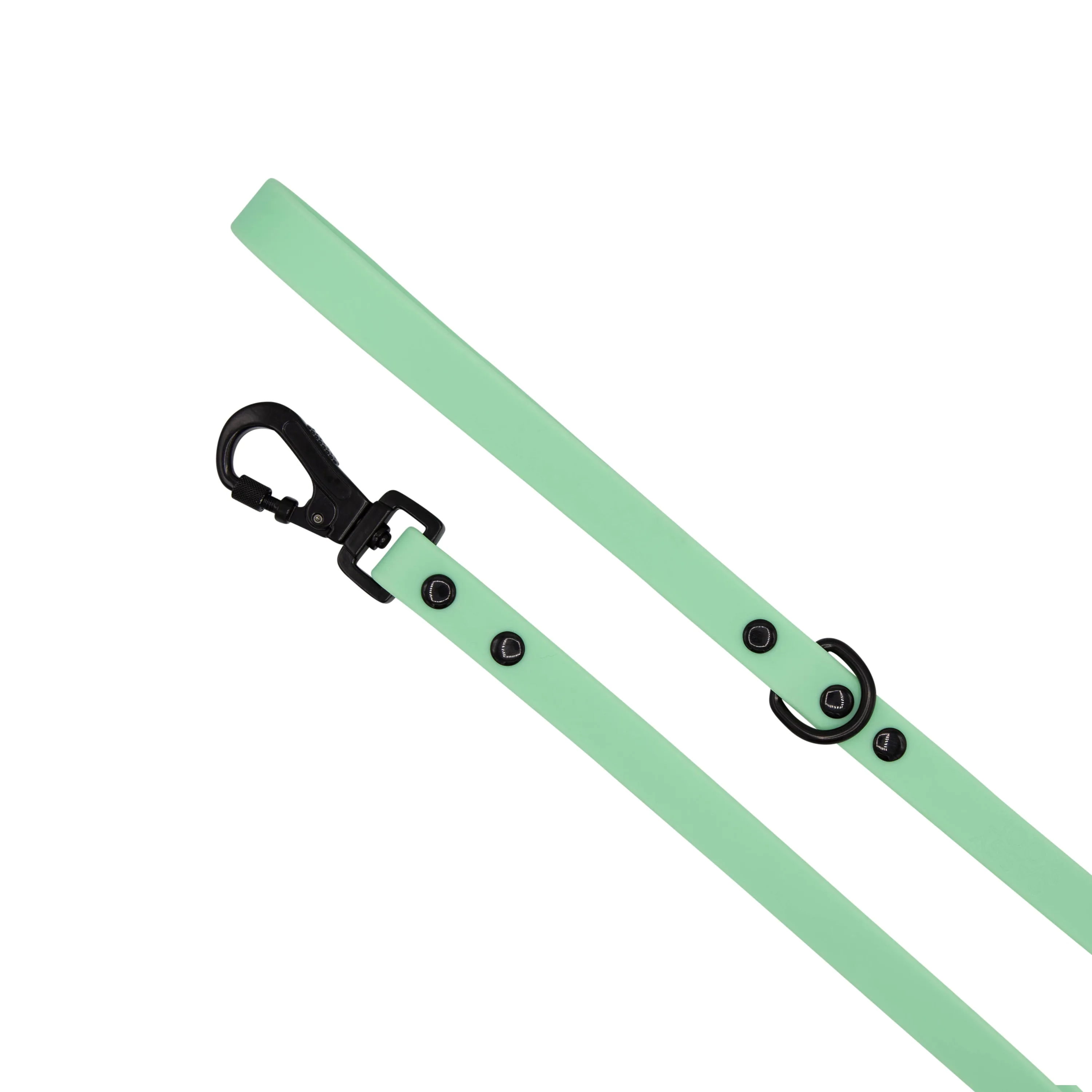 Dog Waterproof Leash - Green