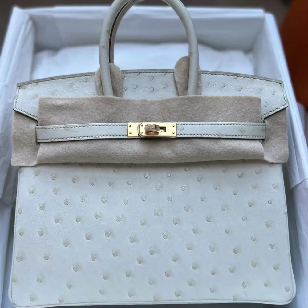 Hermès Birkin 25 Beton Ostrich Gold Hardware GHW